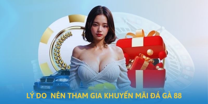 Lý do nên tham gia chương trình khuyến mãi từ Đá Gà 88